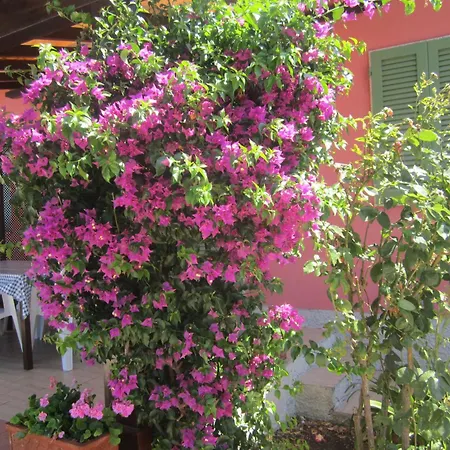 In Mit Schoenem Garten Apartmán Capoliveri (Isola d'Elba)