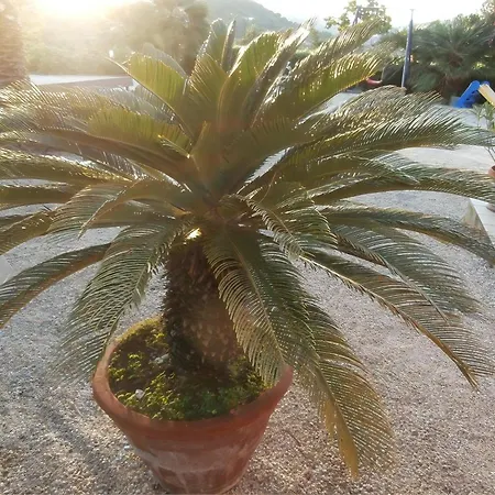 In Mit Schoenem Garten Apartmán